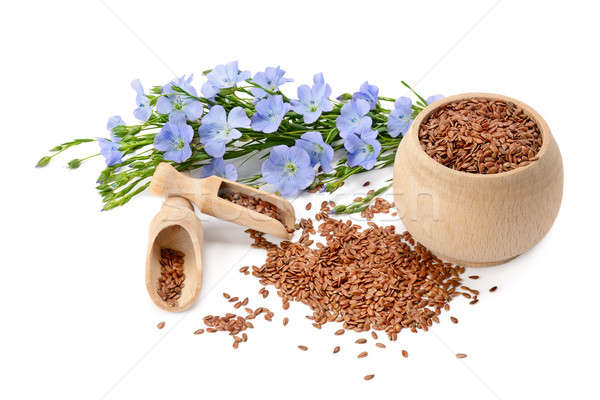 flowers and flaxseeds isolated on a white background Stock photo © alinamd