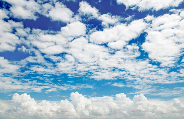 Alb nori Blue Sky primăvară natură peisaj Imagine de stoc © alinamd