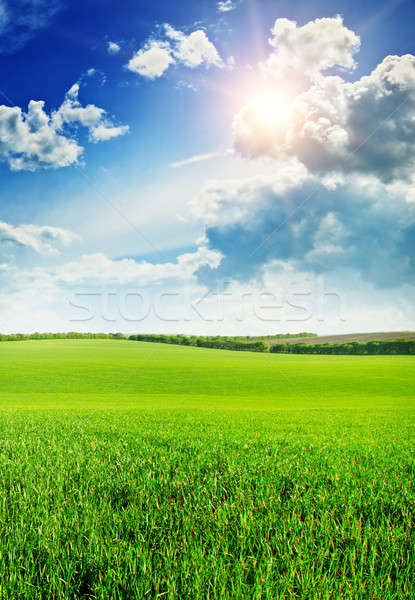 Foto stock: Hermosa · puesta · de · sol · primavera · campo · cielo · hierba