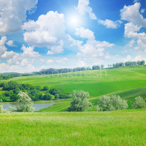 Pittoreske heuvels bos blauwe hemel wolken gras Stockfoto © alinamd
