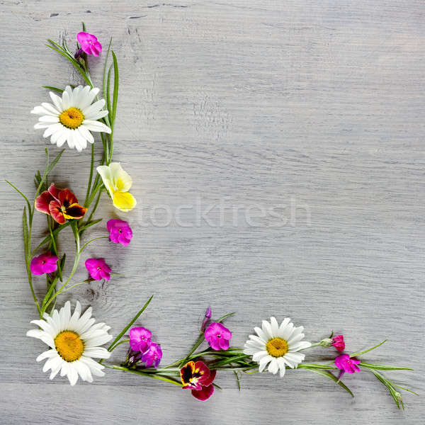 Stock photo: Flowers composition.Flat lay, top view