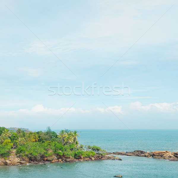 Halbinsel tropischen Palmen Strand Himmel Wolken Stock foto © alinamd