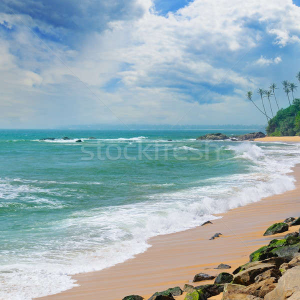 ocean, picturesque beach and blue sky Stock photo © alinamd