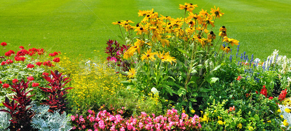[[stock_photo]]: été · lit · de · fleurs · vert · pelouse · large · image