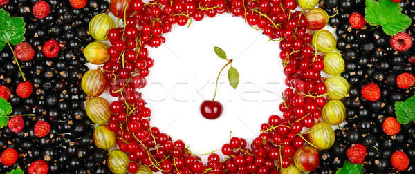 background of red and black currants, gooseberries, raspberries Stock photo © alinamd