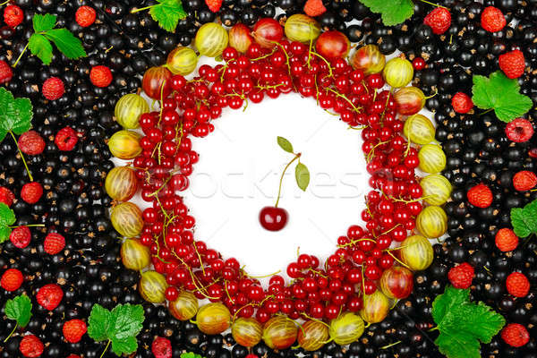 Rosso nero lamponi natura frutta verde Foto d'archivio © alinamd
