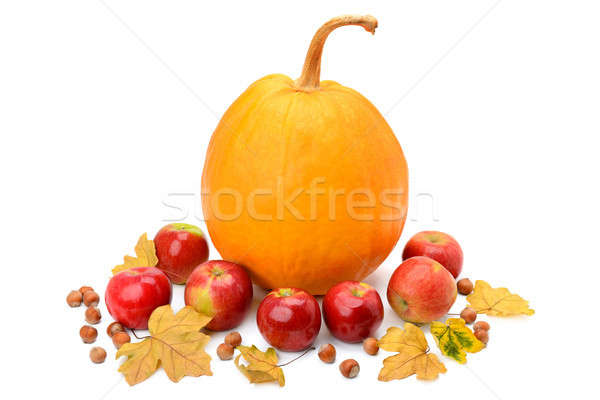 Pumpkin, apples and hazel isolated on white Stock photo © alinamd