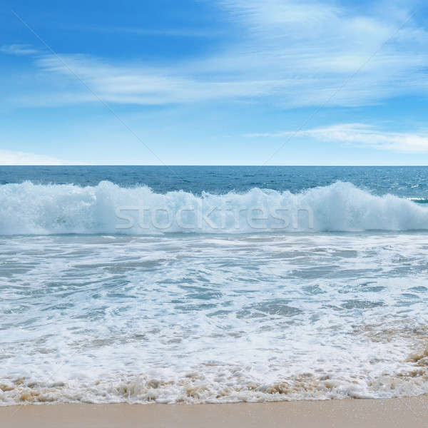 Ocean plaża piaszczysta Błękitne niebo chmury słońce charakter Zdjęcia stock © alinamd