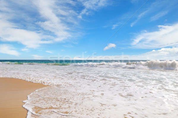 óceán homokos tengerpart kék ég felhők nap természet Stock fotó © alinamd