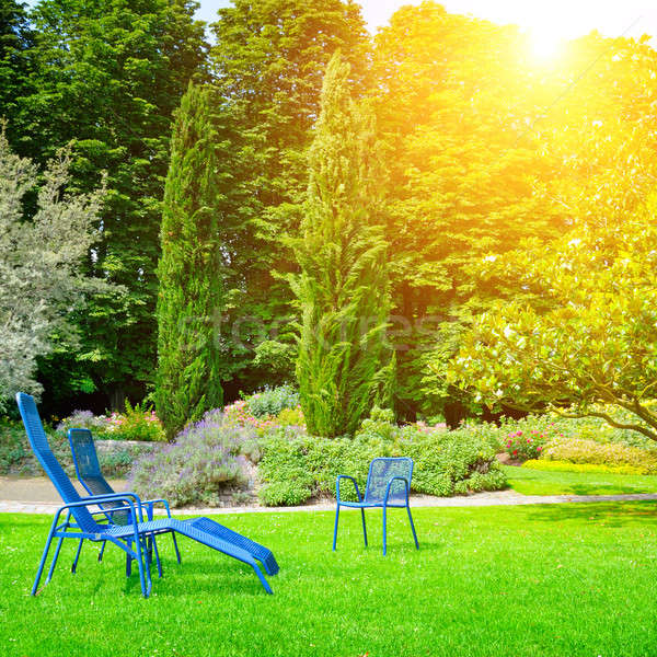 beautiful summer park with lawn Stock photo © alinamd