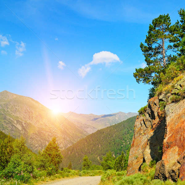 beautiful mountain landscape and sunrise Stock photo © alinamd