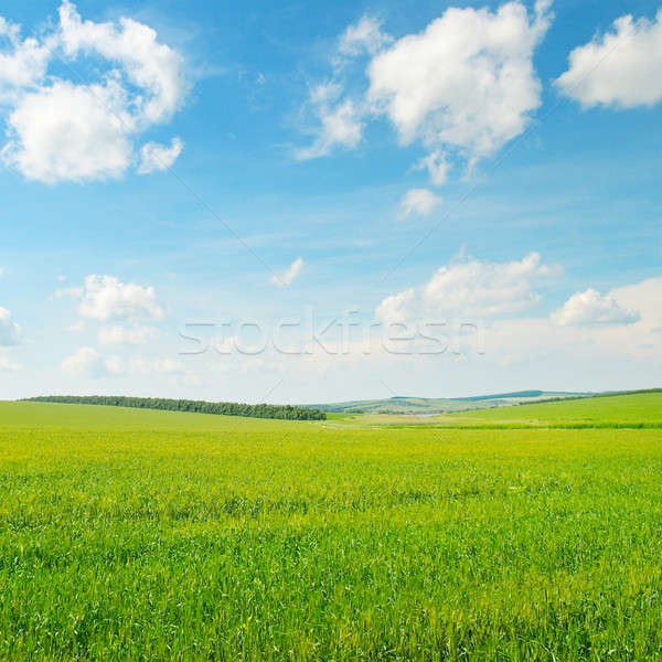 Stockfoto: Groene · Blauw · bewolkt · hemel · wolken