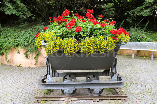 creative flower bed in the trolley Stock photo © alinamd