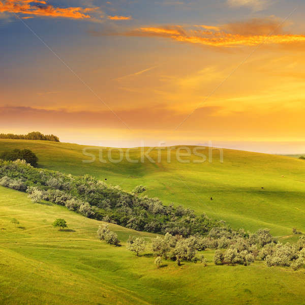 Scenic domenii dealuri răsărit primăvară soare Imagine de stoc © alinamd