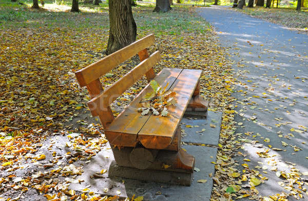 beautiful autumn park with paths and benches Stock photo © alinamd