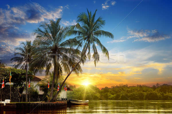 Stock photo: river, beautiful sunrise and tropical palms