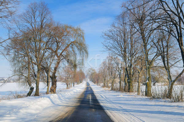 Сток-фото: зима · дороги · пейзаж · полях · деревья · небе