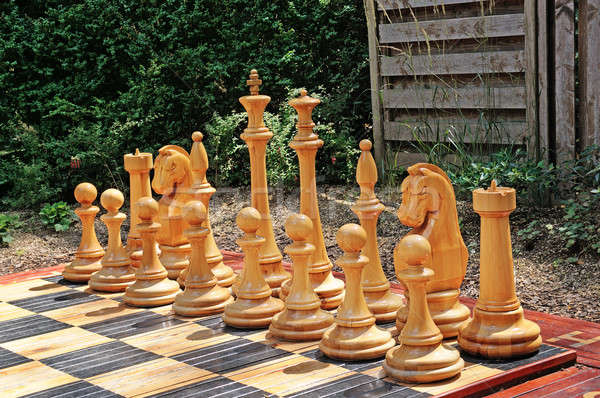 outdoor chess in a city park Stock photo © alinamd