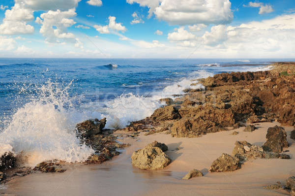 Ocean malowniczy plaży Błękitne niebo niebo wody Zdjęcia stock © alinamd