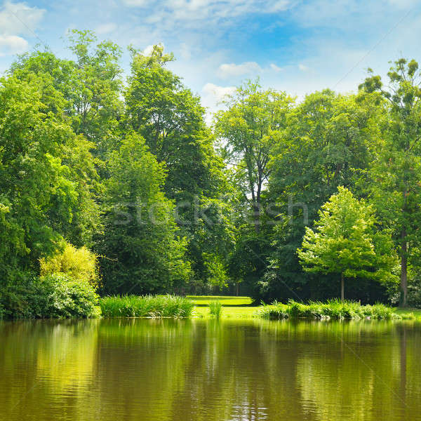 Pittoresque lac été forêt ciel banques [[stock_photo]] © alinamd