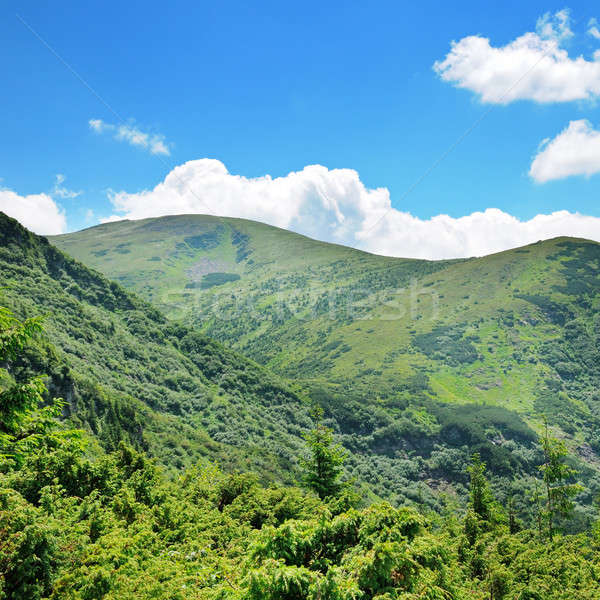 商業照片: 山· 藍天 · 覆蓋 ·樹·樹·雲