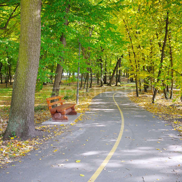 autumn landscape in a beautiful park Stock photo © alinamd
