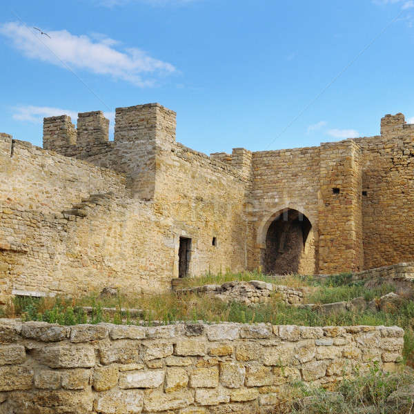 the ruins of a medieval fortress Stock photo © alinamd