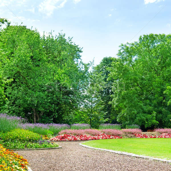 Summer garden with lawn and flower garden Stock photo © alinamd