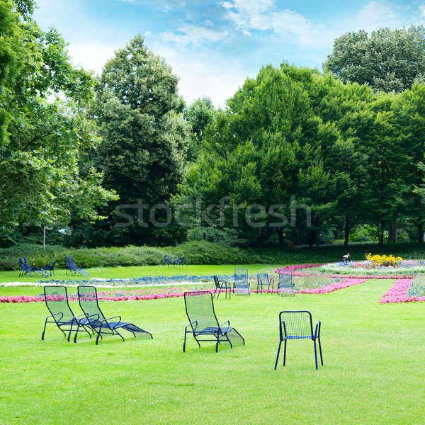 休息室 椅子 放寬 夏天 公園 花卉 商業照片 © alinamd