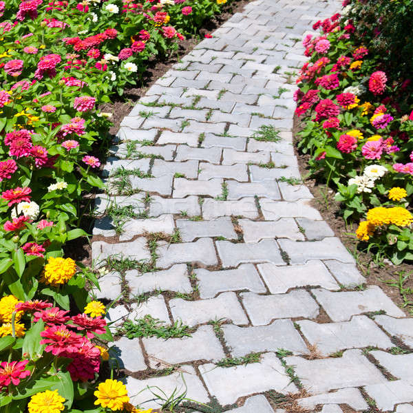 causeway and colorful flower bed Stock photo © alinamd