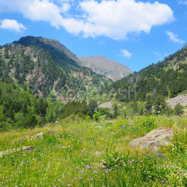 scenic mountains, meadows and blue sky Stock photo © alinamd