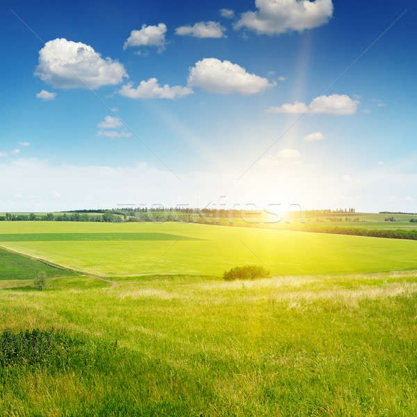 hilly terrain, spring field and sunrise on blue sky Stock photo © alinamd