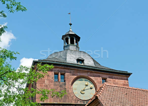 antique clock on the tower of the castle Stock photo © alinamd