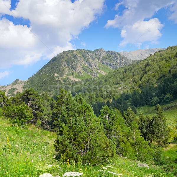 Stok fotoğraf: Manzaralı · dağlar · mavi · gökyüzü · çiçekler · bulutlar