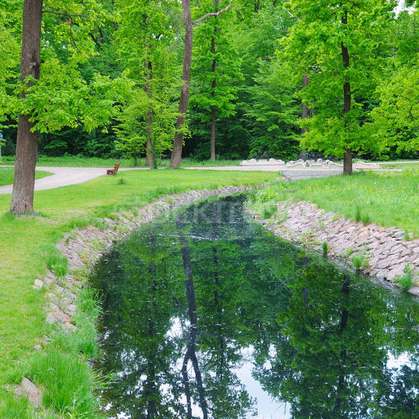 Stream zomer park hemel water voorjaar Stockfoto © alinamd