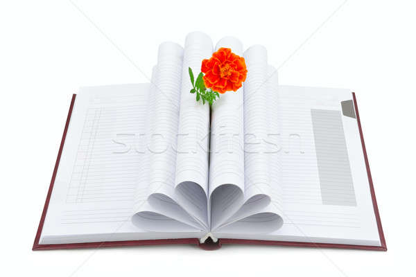 Book and flower isolated on white background Stock photo © alinamd