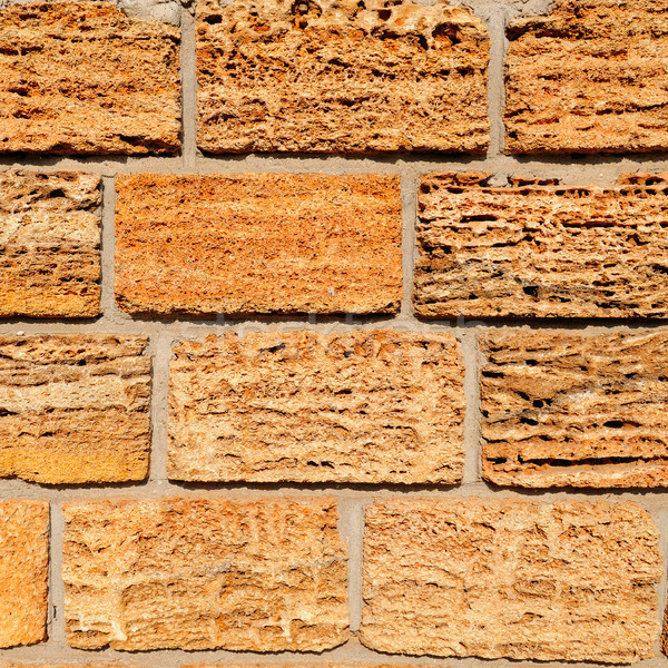 Background made of cut shell rock Stock photo © alinamd