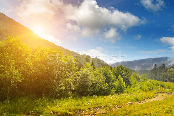 sunrise over the mountainside Stock photo © alinamd