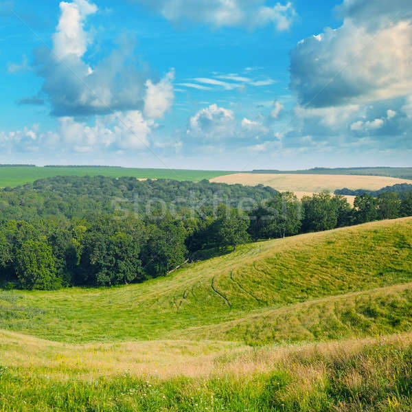 ストックフォト: 絵のように美しい · 丘 · 森林 · 青空 · 雲 · 草