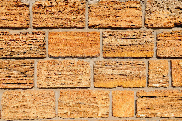 Background made of cut shell rock Stock photo © alinamd