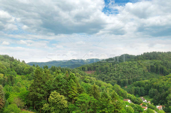 Munţi acoperit copac nori primăvară pădure Imagine de stoc © alinamd