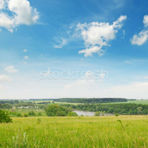 Foto stock: Verde · campo · azul · nublado · cielo · campo · de · trigo