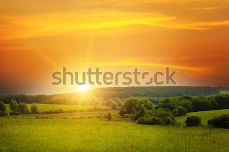 field, sunrise and blue sky Stock photo © alinamd
