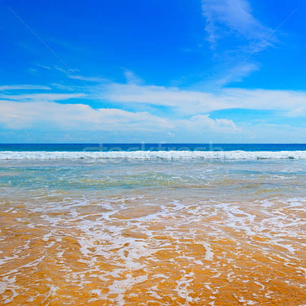 Ocean malowniczy plaży Błękitne niebo niebo charakter Zdjęcia stock © alinamd