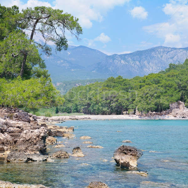 Montagnes pittoresque côte arbre printemps mer [[stock_photo]] © alinamd