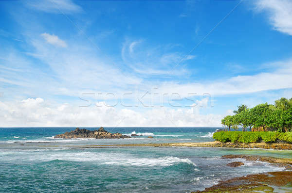 Oceaan pittoreske strand blauwe hemel zon natuur Stockfoto © alinamd