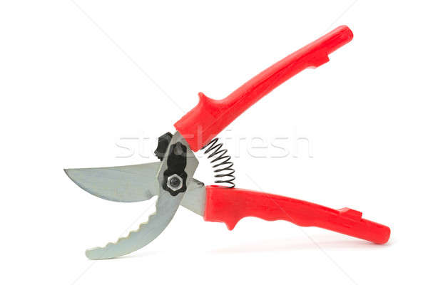 garden scissors isolated on a white background Stock photo © alinamd