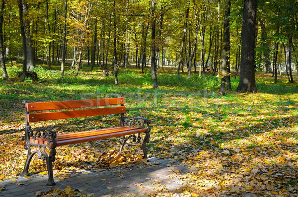 beautiful autumn park with paths and benches Stock photo © alinamd