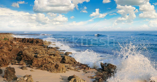 Oceaan pittoreske strand blauwe hemel hemel water Stockfoto © alinamd