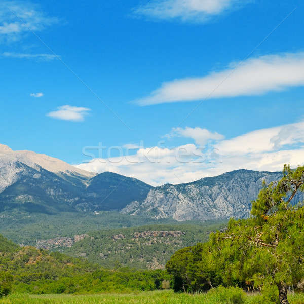 The top of mountain and blue sky Stock photo © alinamd